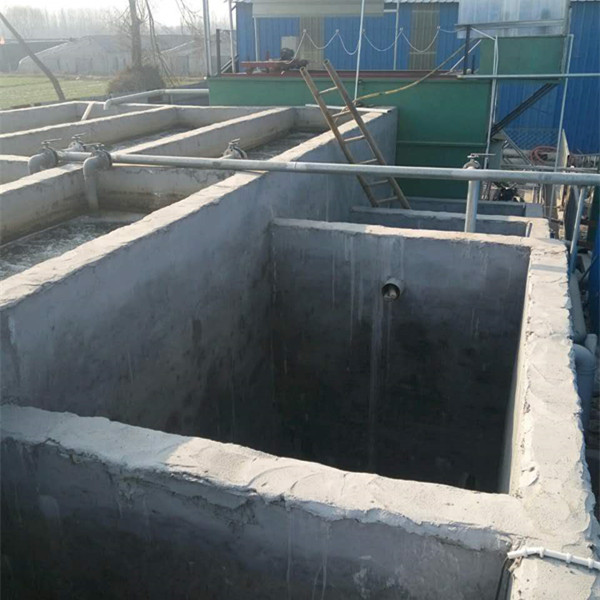 蘭陵雙全農副產品大蒜廢水處理工程